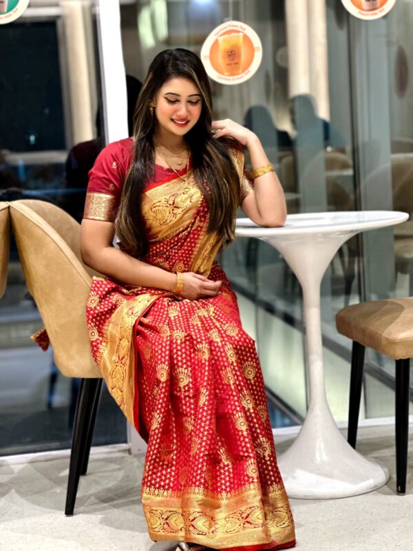Katan Banarasi Saree