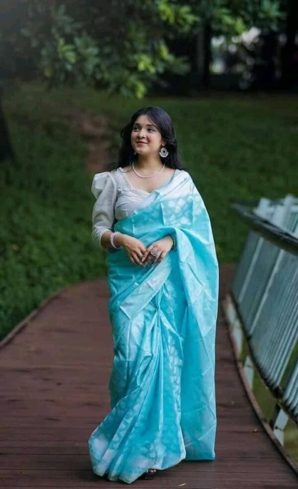 Soft Silk Indian-Inspired Katan Saree