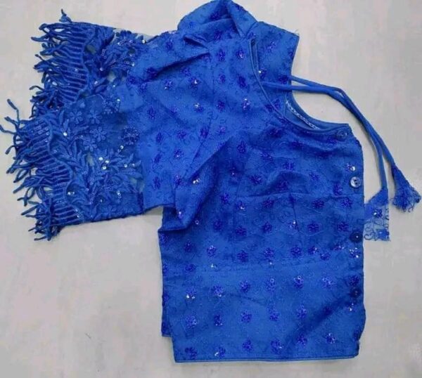 Pani patti blouse