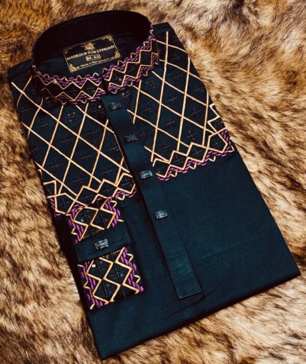 Stylish Panjabi