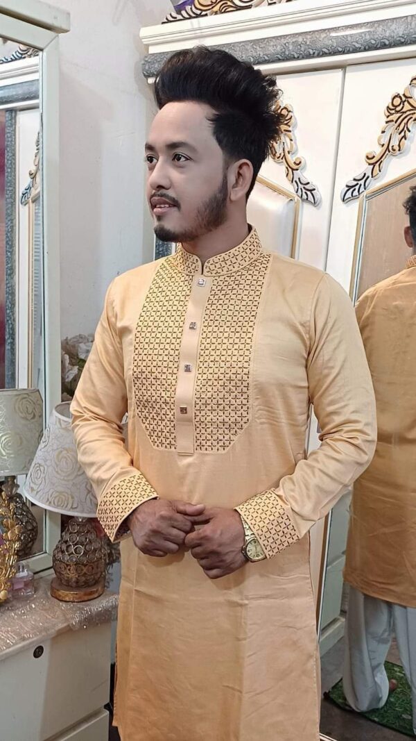 Discover the Stylish Daba Biscos Step Sequence Panjabi Allshopbd.com