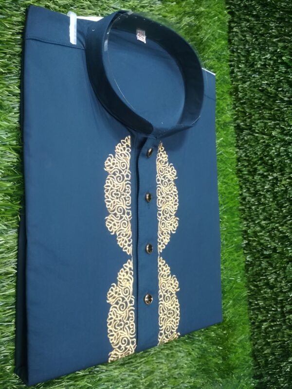 Embroidery Panjabi