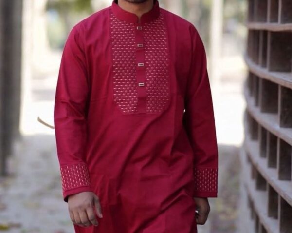 Premium embroidery Panjabi