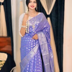 Soft silk katan saree