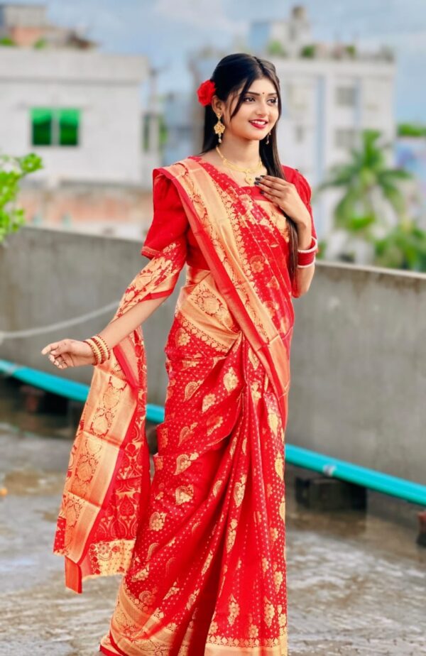 Soft silk katan saree