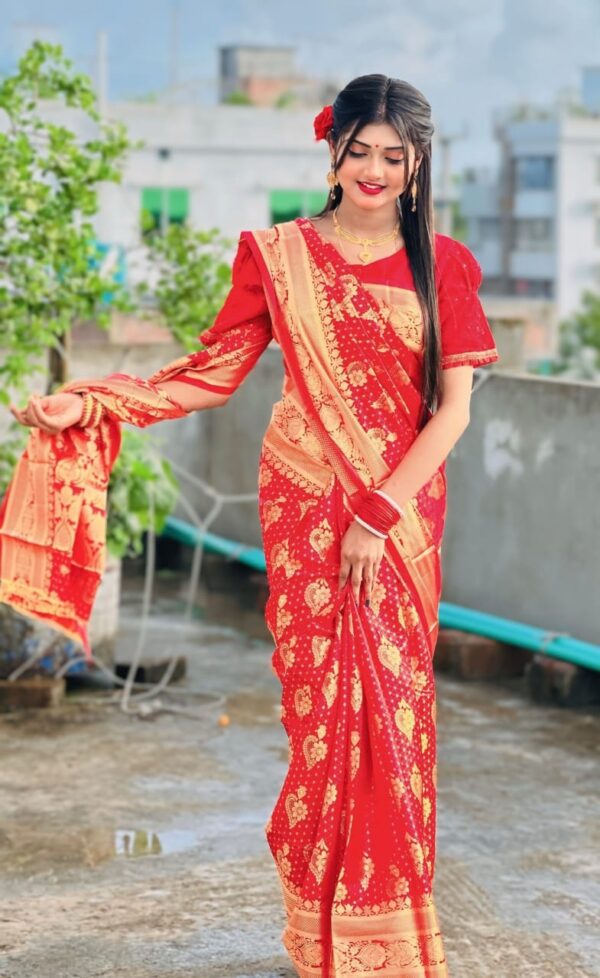 Soft silk katan saree - Image 2