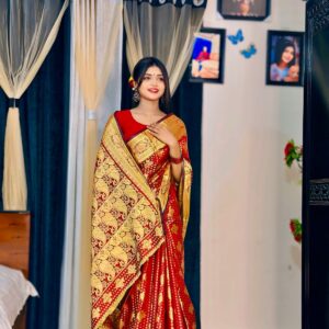 Soft silk katan saree