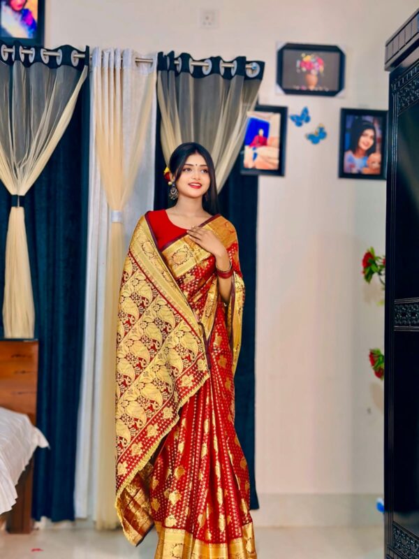 Soft silk katan saree